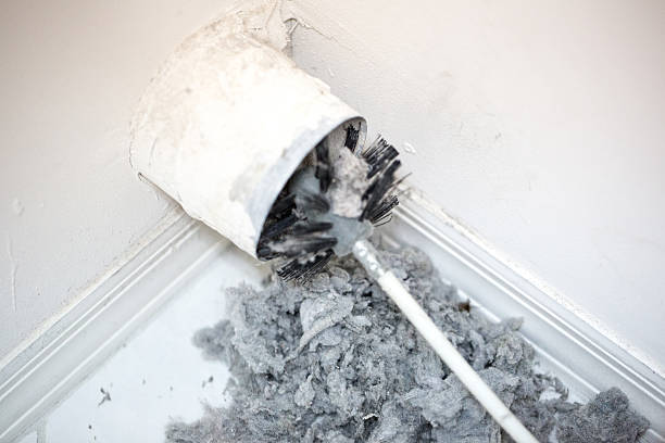 Best Professional Duct Cleaning Services  in Kendale Lakes, FL